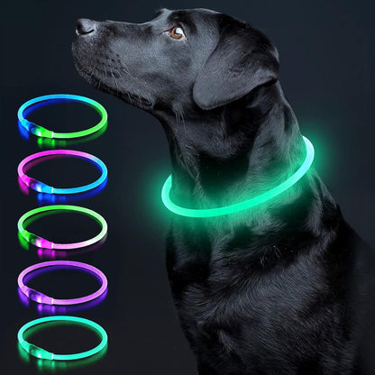 Illuminate Your Dog's Safety with the Ultimate LED Glow Collar - USB Rechargeable and Perfect for Every Size in Vibrant Cyan