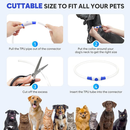 Illuminate Your Dog's Safety with Our Rechargeable Waterproof LED Dog Collar - Perfect for Nighttime Adventures (Blue)
