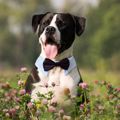 Elegant Adjustable Dog Bow Tie Collar - Ideal for Weddings and Formal Occasions - Black Tuxedo Design for Medium to Large Dogs