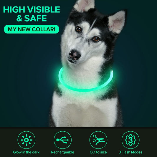 Illuminate Your Dog's Safety with the Ultimate LED Glow Collar - USB Rechargeable and Perfect for Every Size in Vibrant Cyan