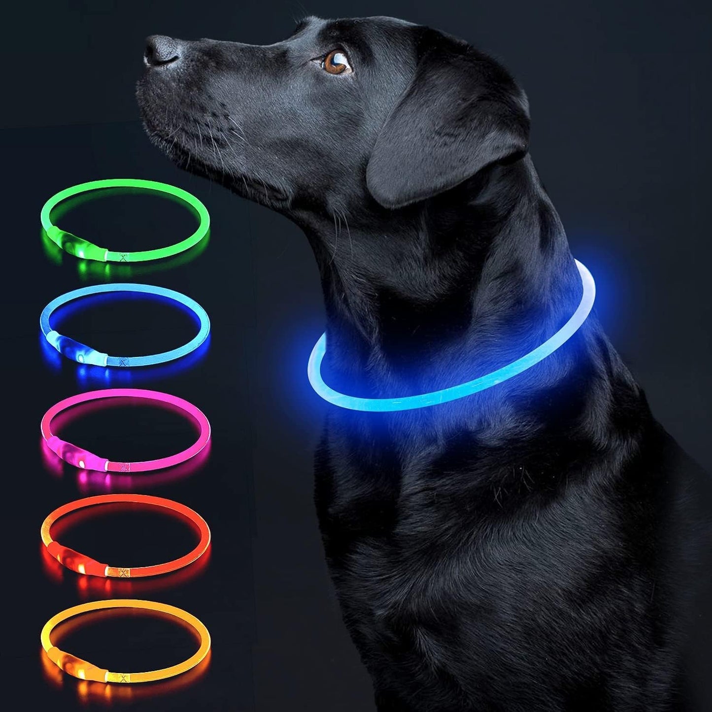 Illuminate Your Dog's Safety with the Ultimate LED Glow Collar - USB Rechargeable and Perfect for Every Size in Vibrant Cyan