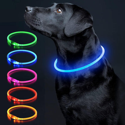 Illuminate Your Dog's Safety with the Ultimate LED Glow Collar - USB Rechargeable and Perfect for Every Size in Vibrant Cyan