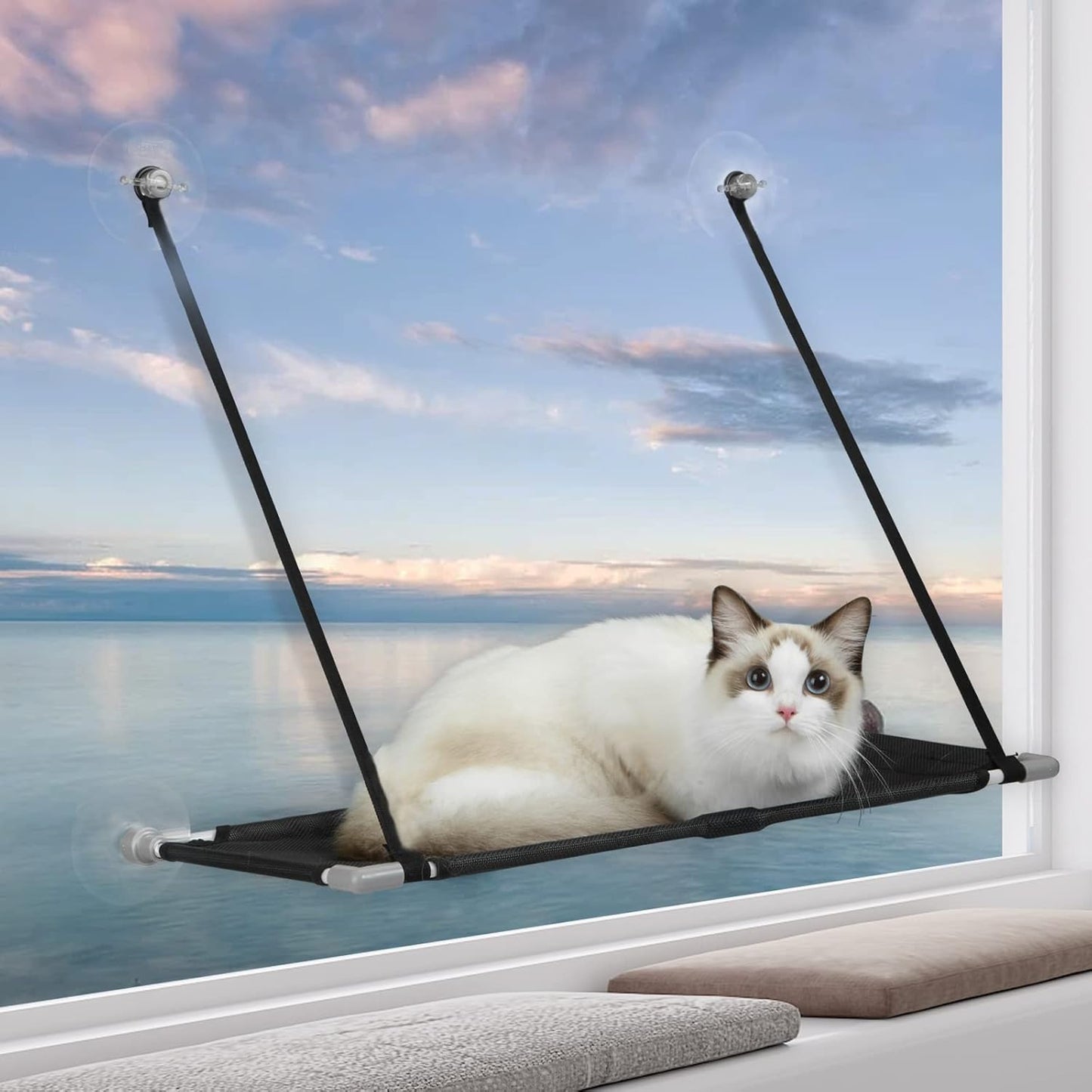 Indulge Your Cat with the Extra Large 360° Cat Window Perch Hammock - The Ultimate Sunny Retreat!