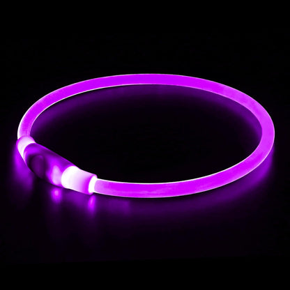 Illuminate Your Dog's Safety with the USB Rechargeable LED Dog Collar - Perfect for All Breeds in Vibrant Green
