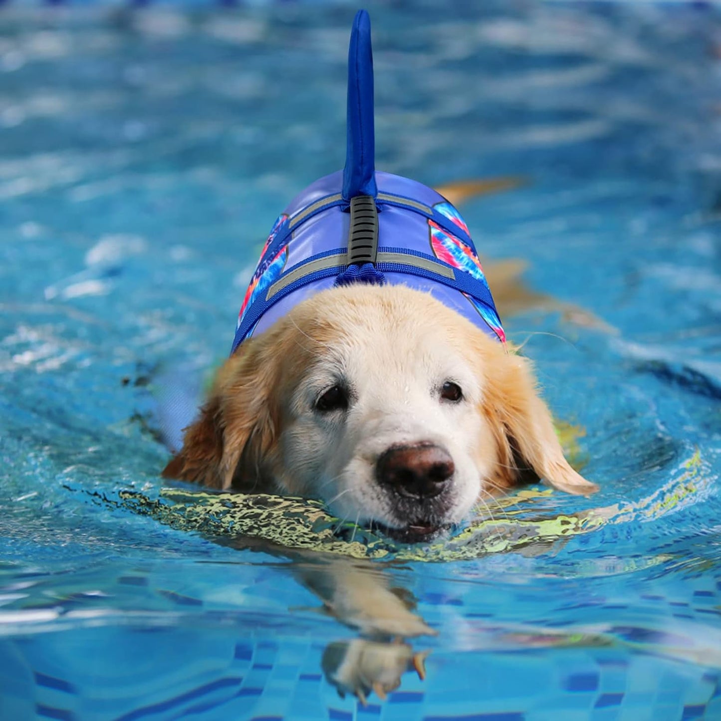 Ultimate Shark Dog Life Jacket - Premium Safety Vest for Swimming & Boating, Perfect Floatation Swimsuits for All Dog Sizes in Blue Bandhnu