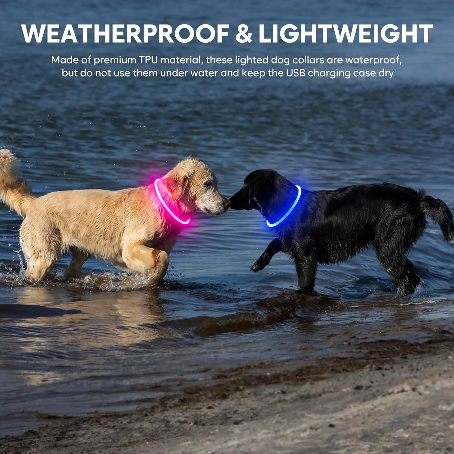 Illuminate Your Dog's Safety with Our Rechargeable Waterproof LED Dog Collar - Perfect for Nighttime Adventures (Blue)