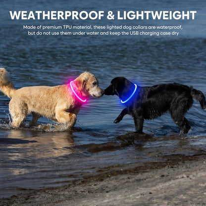 Illuminate Your Dog's Safety with Our Rechargeable Waterproof LED Dog Collar - Perfect for Nighttime Adventures (Blue)
