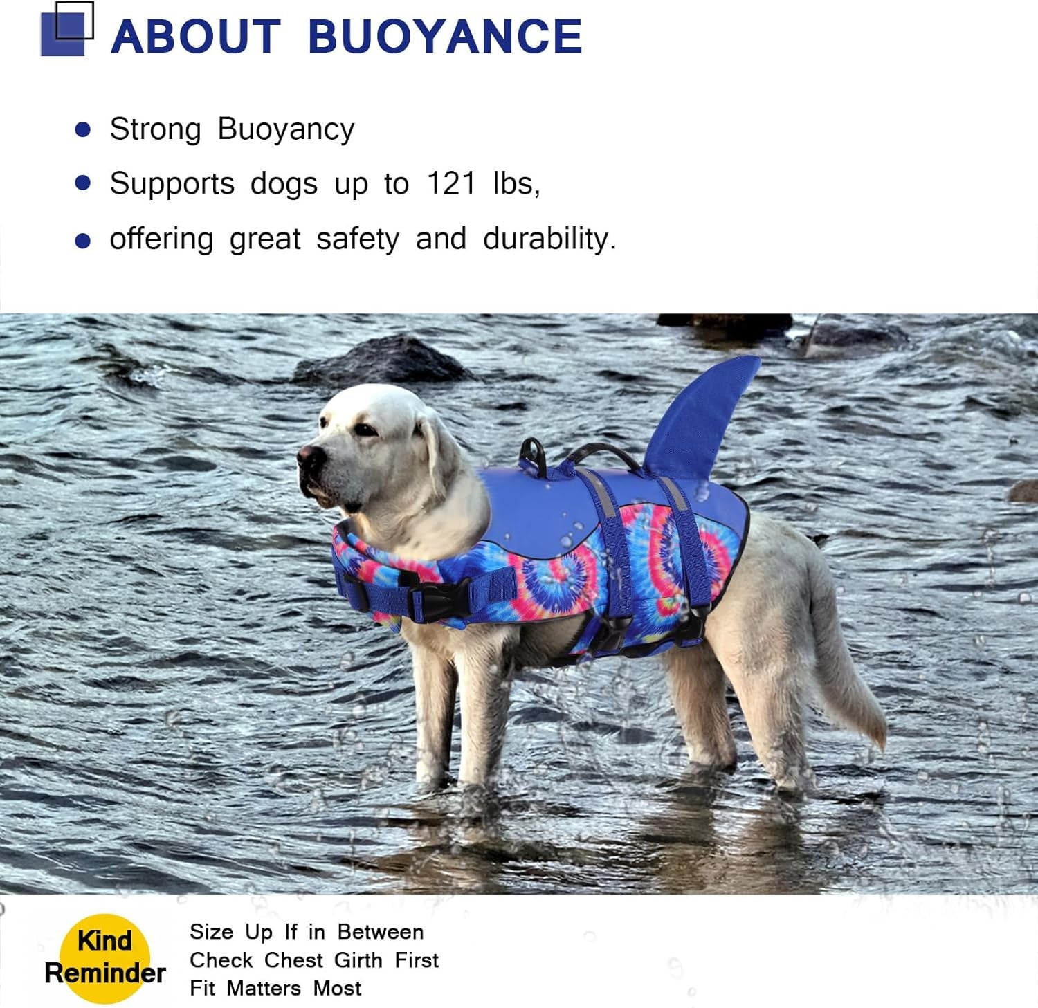 Ultimate Shark Dog Life Jacket - Premium Safety Vest for Swimming & Boating, Perfect Floatation Swimsuits for All Dog Sizes in Blue Bandhnu