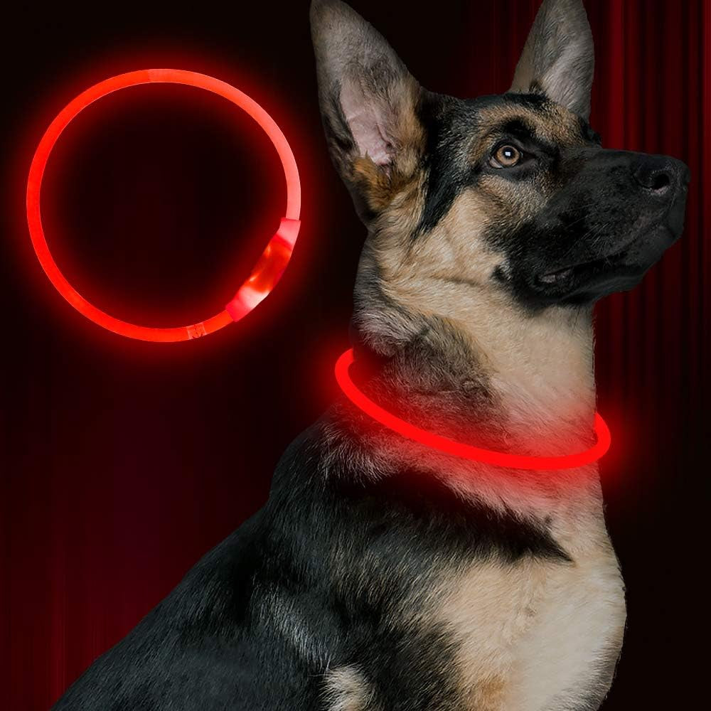 Illuminate Your Dog's Safety with the USB Rechargeable LED Dog Collar - Perfect for All Breeds in Vibrant Green