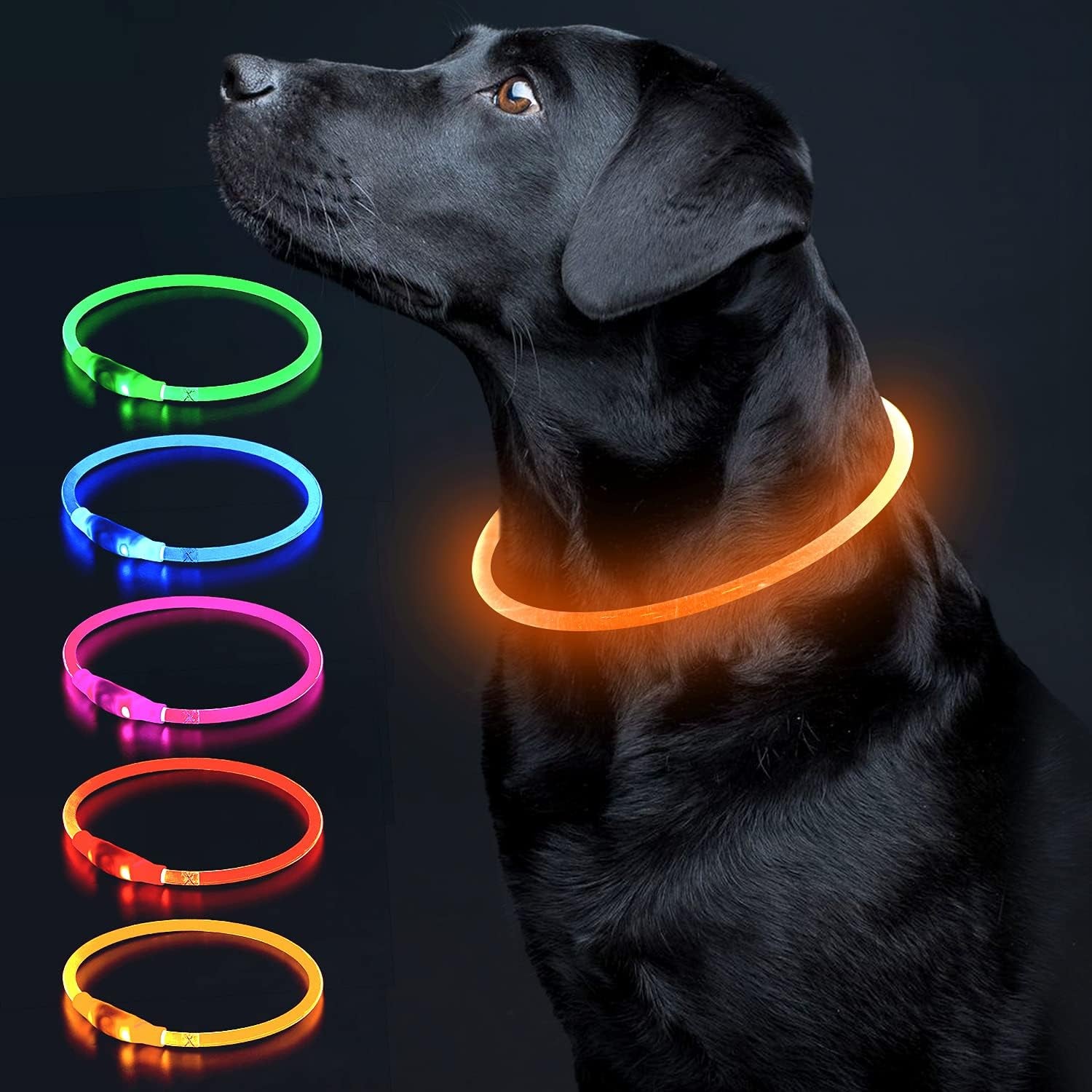 Illuminate Your Dog's Safety with the Ultimate LED Glow Collar - USB Rechargeable and Perfect for Every Size in Vibrant Cyan