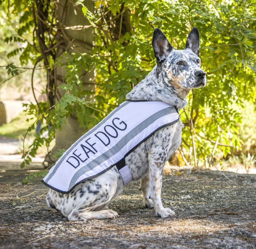 Ultimate Safety and Comfort: Waterproof Reflective Fleece-Lined Coat for Deaf Dogs - Warmth and Visibility in One Stylish Package (Sizes S-XL, M-L Back 17" (43Cm))