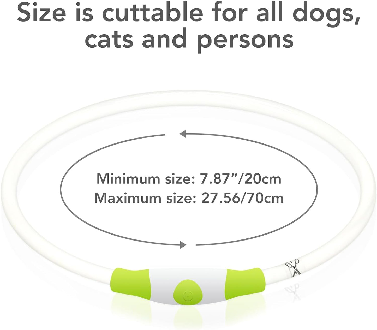 Illuminate Your Dog's Safety with the Ultimate LED Glow Collar - USB Rechargeable and Perfect for Every Size in Vibrant Cyan