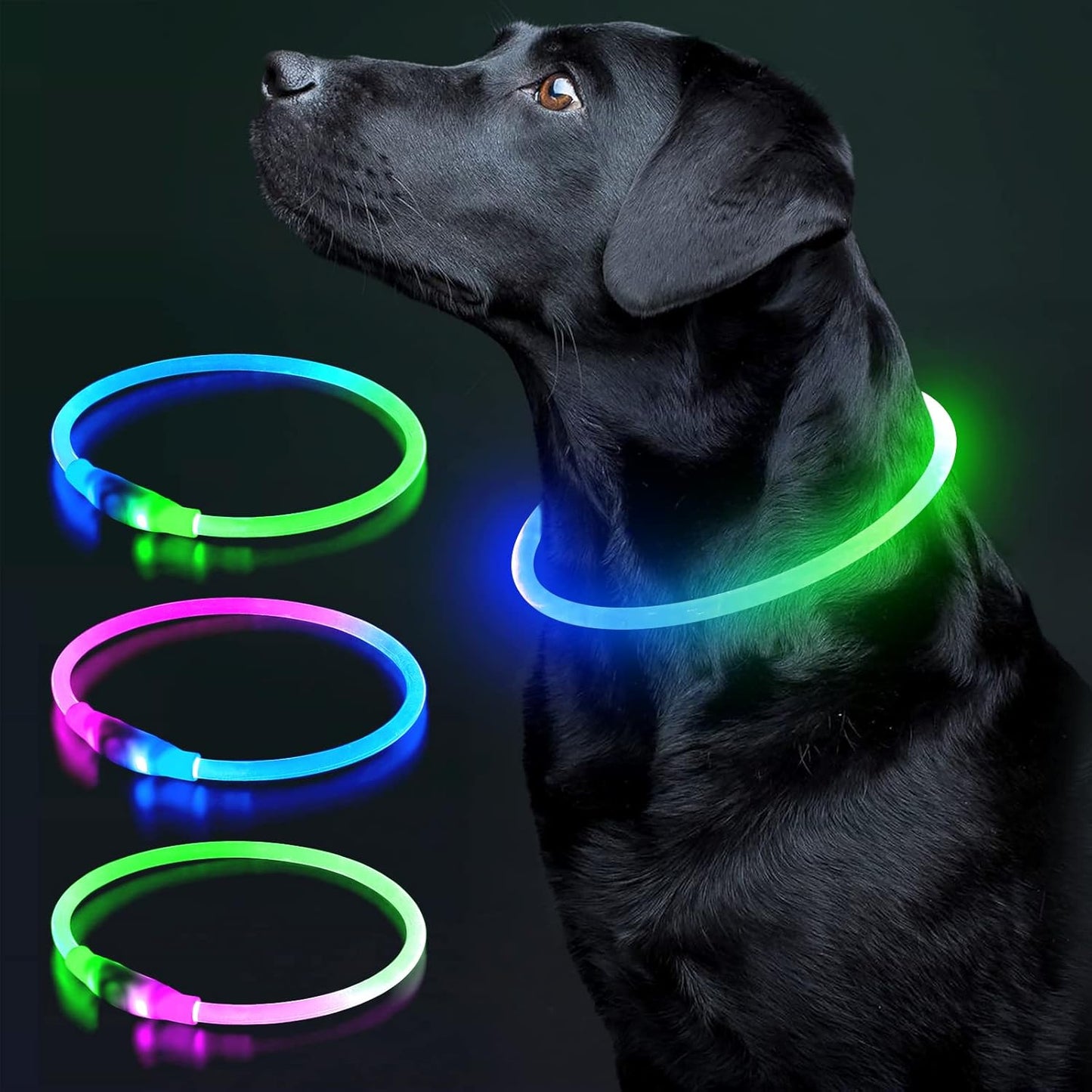 Illuminate Your Dog's Safety with the Ultimate LED Glow Collar - USB Rechargeable and Perfect for Every Size in Vibrant Cyan