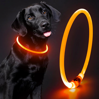 Illuminate Your Dog's Safety with Our Rechargeable Waterproof LED Dog Collar - Perfect for Nighttime Adventures (Blue)