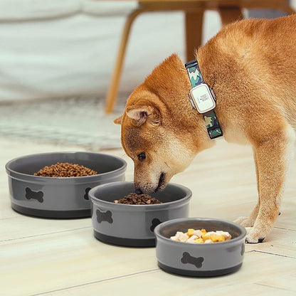Charming Gray Ceramic Dog Bowl with Bone Pattern - Perfect 16 Fl Oz Dining Dish for Small Dogs