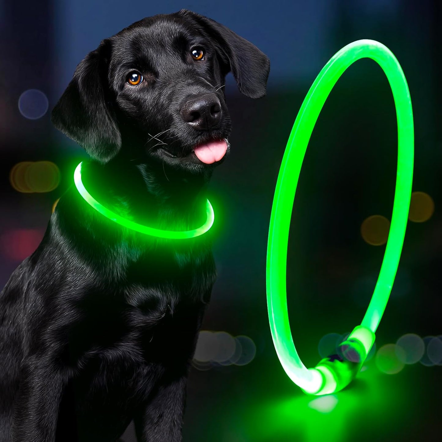 Illuminate Your Dog's Safety with Our Rechargeable Waterproof LED Dog Collar - Perfect for Nighttime Adventures (Blue)