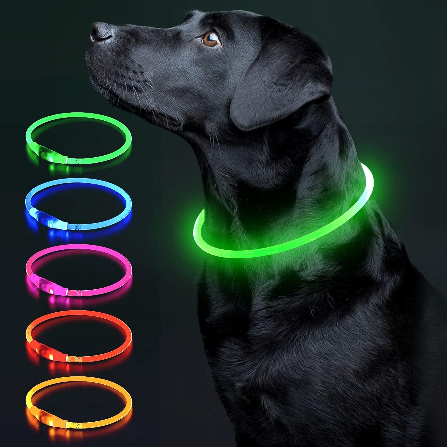 Illuminate Your Dog's Safety with the Ultimate LED Glow Collar - USB Rechargeable and Perfect for Every Size in Vibrant Cyan