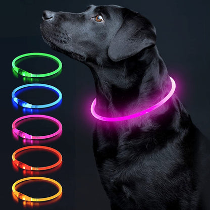 Illuminate Your Dog's Safety with the Ultimate LED Glow Collar - USB Rechargeable and Perfect for Every Size in Vibrant Cyan