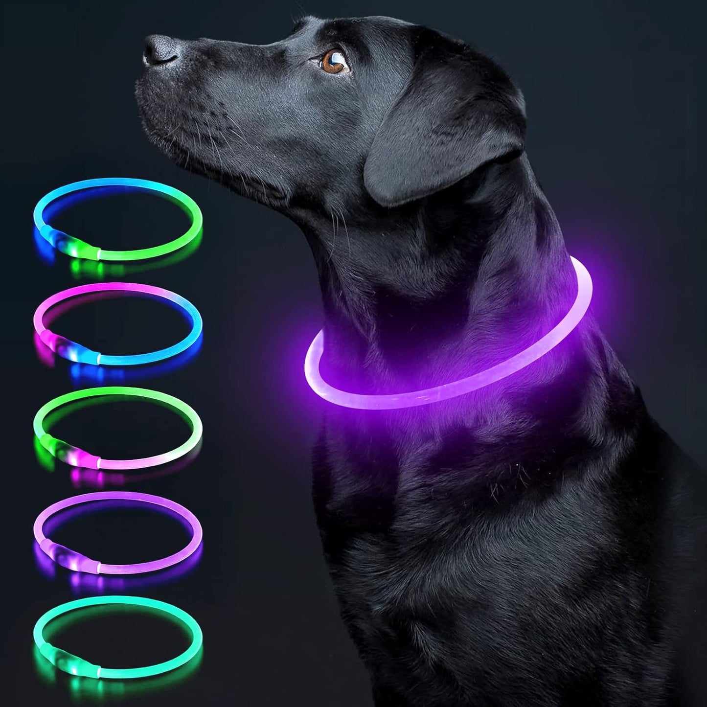 Illuminate Your Dog's Safety with the Ultimate LED Glow Collar - USB Rechargeable and Perfect for Every Size in Vibrant Cyan