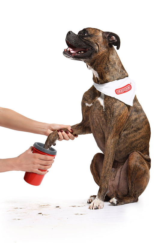 Revolutionary Mudbuster® Pet Paw Washer - Effortlessly Clean Your Furry Friend's Paws with Gentle Rubber Bristles!