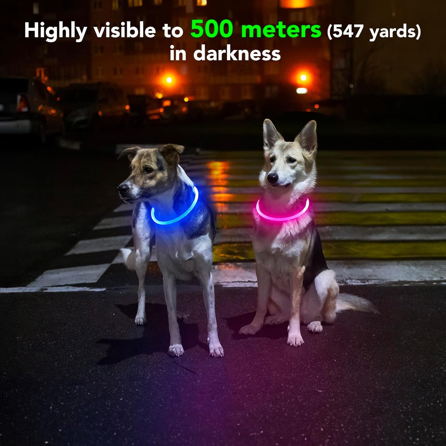 Illuminate Your Dog's Safety with Our Rechargeable Waterproof LED Dog Collar - Perfect for Nighttime Adventures (Blue)