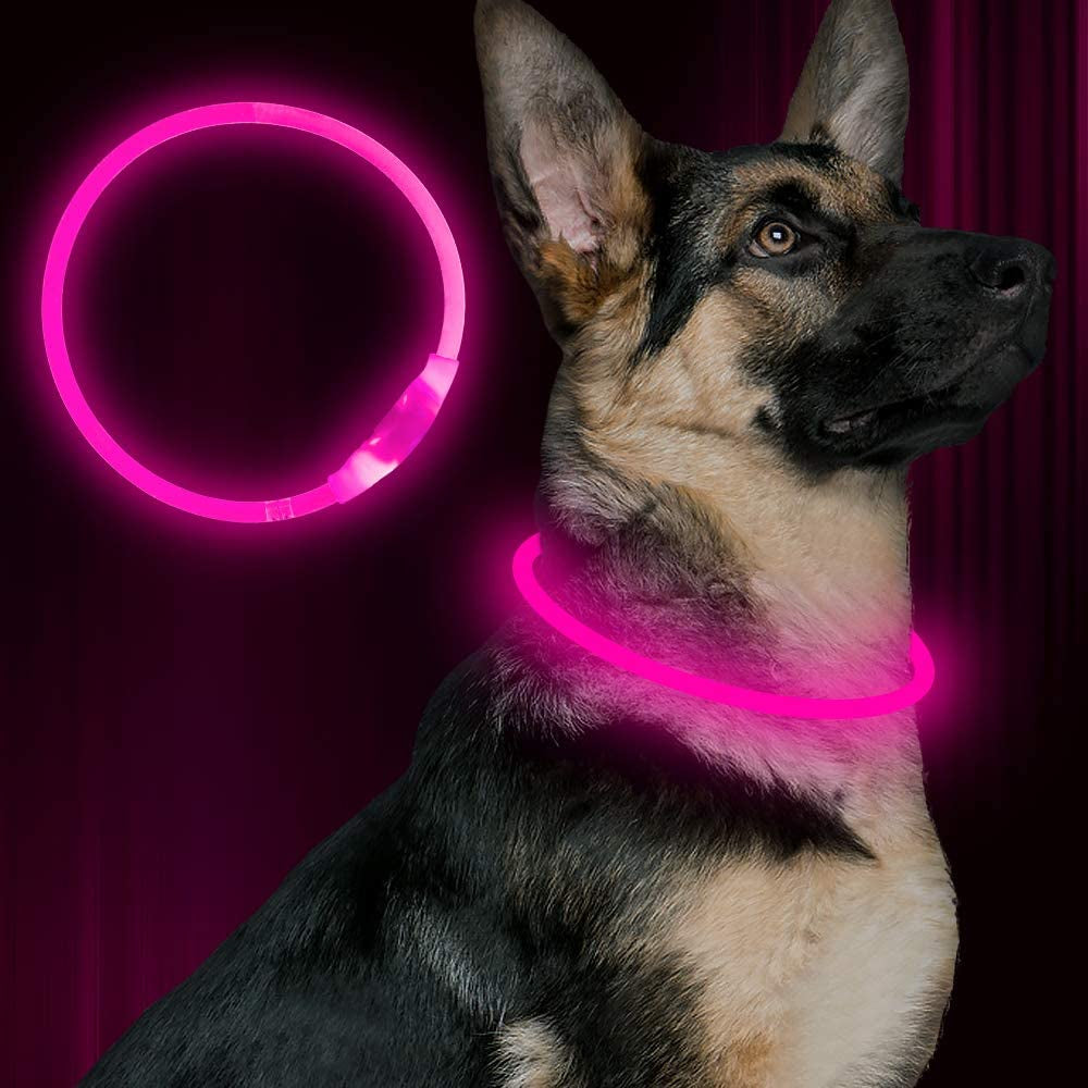 Illuminate Your Dog's Safety with the USB Rechargeable LED Dog Collar - Perfect for All Breeds in Vibrant Green