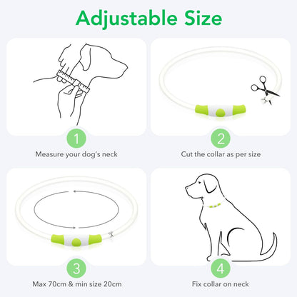 Illuminate Your Dog's Safety with the Ultimate LED Glow Collar - USB Rechargeable and Perfect for Every Size in Vibrant Cyan