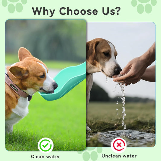 Ultimate 3-in-1 Portable Dog Water Bottle - Leak-Proof Dispenser with Food Container & Poop Scooper for Adventurous Dogs - Perfect for Hiking, Travel & Daily Walks (14.2 Oz, Green)