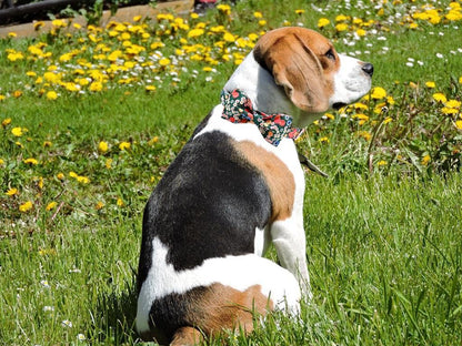 Charming Adjustable Floral Dog Collar with Bowtie - Perfect Comfort and Style for Your Beloved Pup