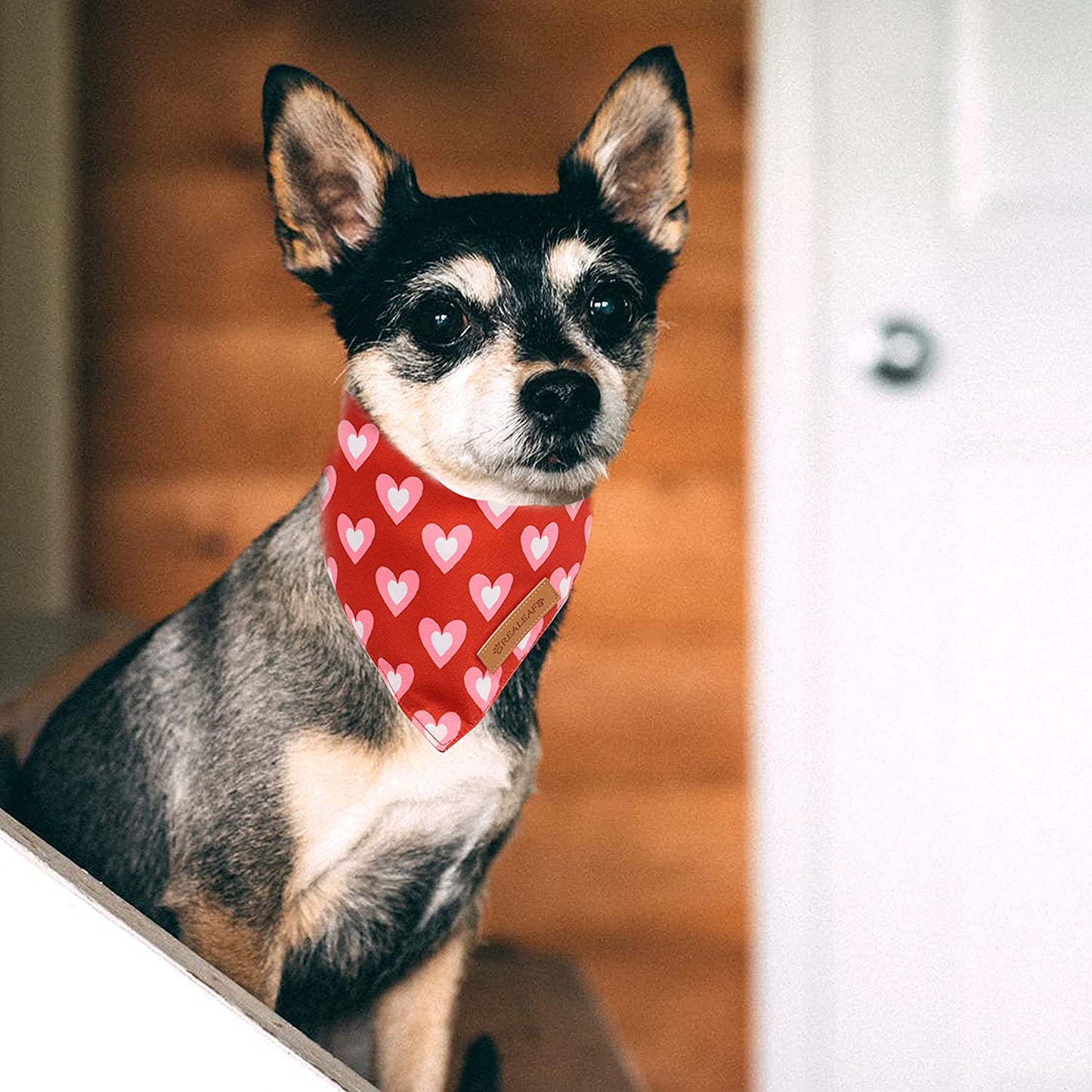 Celebrate Love with Our Valentine's Day Dog Bandanas - Stylish 2 Pack Reversible Scarves for Medium & Large Dogs, Made from Durable Fabric for Unforgettable Holiday Moments
