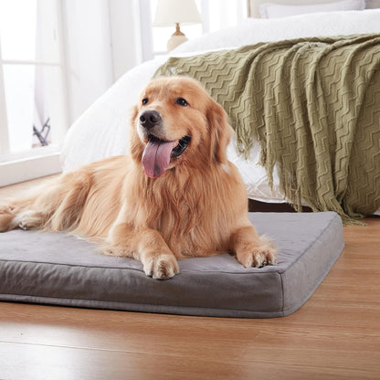 Elevate Your Dog's Comfort with the Premium Orthopedic Memory Foam Bed - Perfect for Extra Large Dogs, Waterproof & Easy-Clean Design!