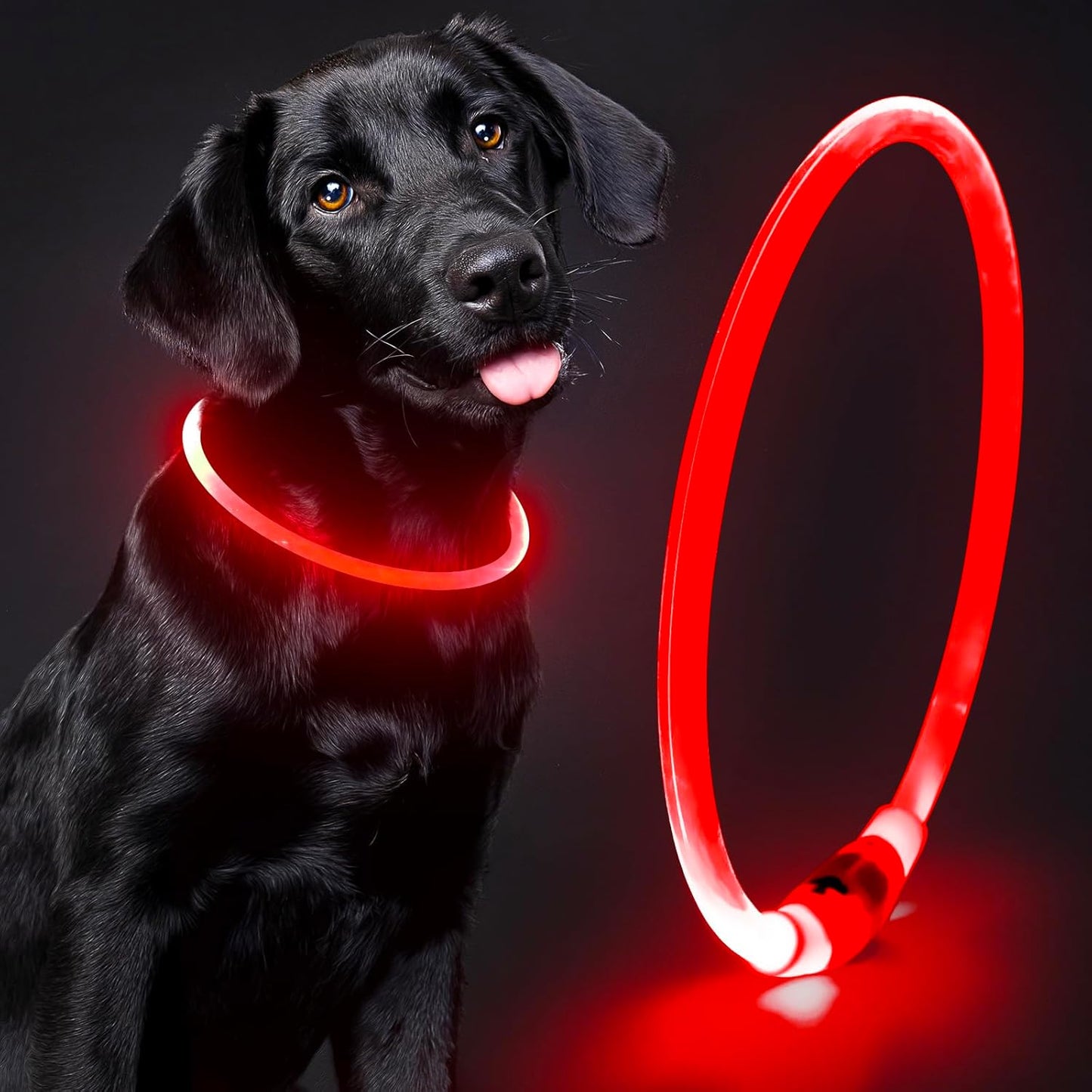 Illuminate Your Dog's Safety with Our Rechargeable Waterproof LED Dog Collar - Perfect for Nighttime Adventures (Blue)