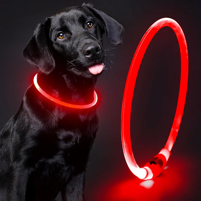 Illuminate Your Dog's Safety with Our Rechargeable Waterproof LED Dog Collar - Perfect for Nighttime Adventures (Blue)