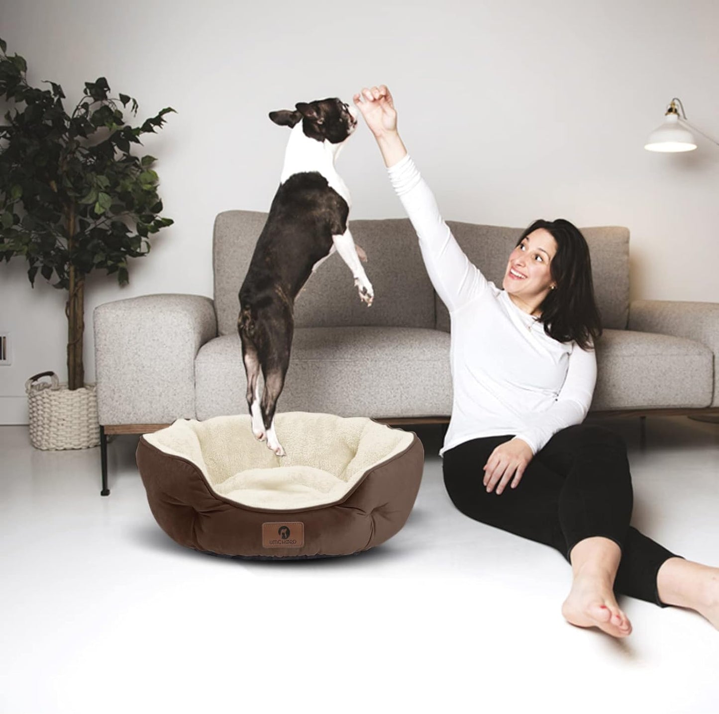 Indulge Your Pet with the Cozy Small Dog Bed - Soft, Machine Washable, Anti-Slip & Water-Resistant for Small Dogs and Cats - 20 Inches in Elegant Brown