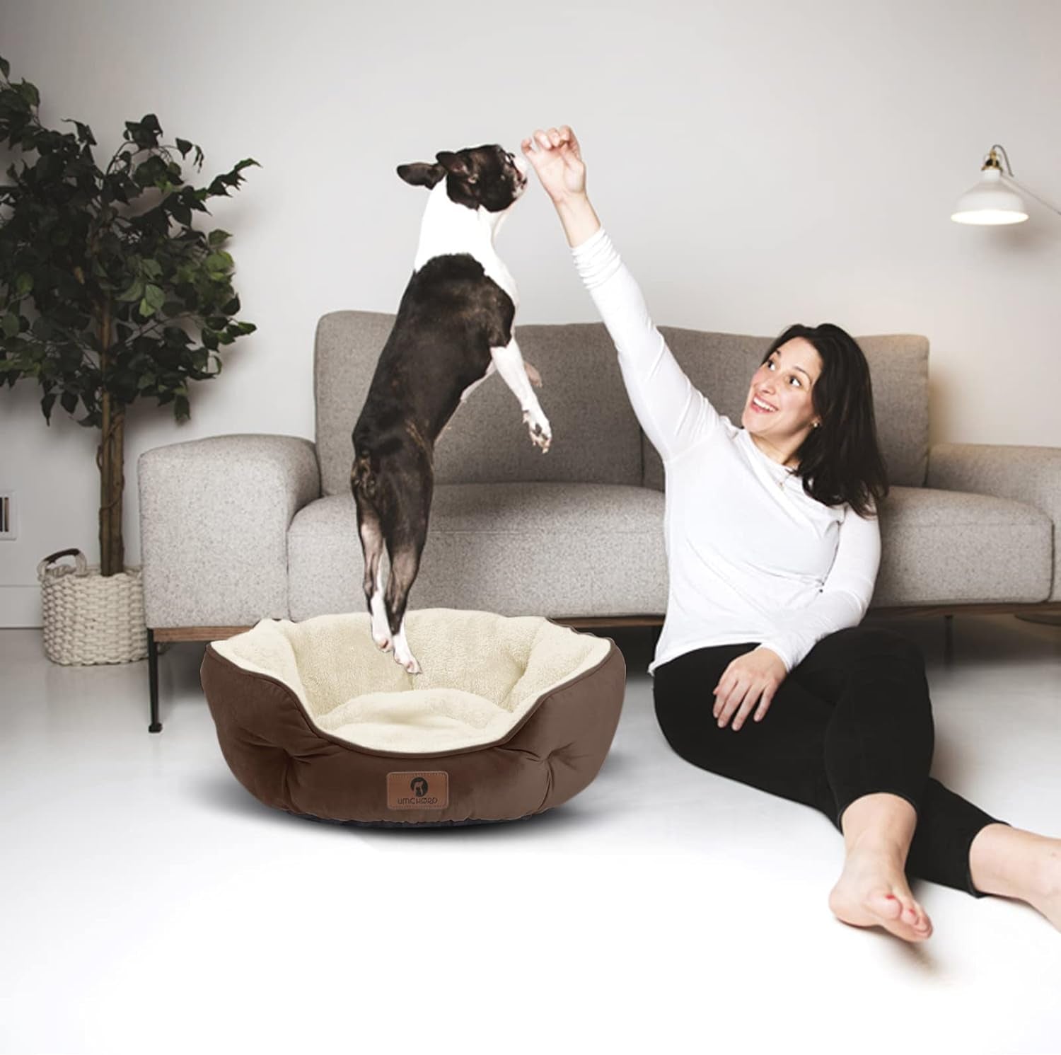 Indulge Your Pet with the Cozy Small Dog Bed - Soft, Machine Washable, Anti-Slip & Water-Resistant for Small Dogs and Cats - 20 Inches in Elegant Brown