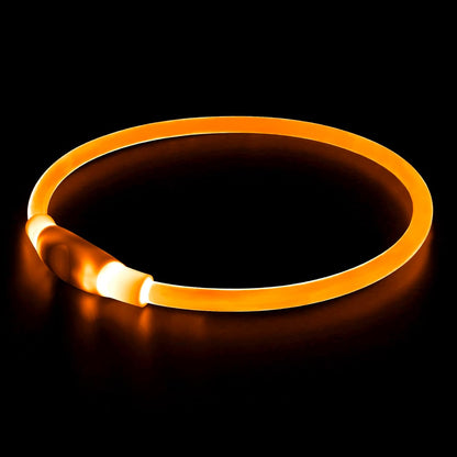 Illuminate Your Dog's Safety with the USB Rechargeable LED Dog Collar - Perfect for All Breeds in Vibrant Green