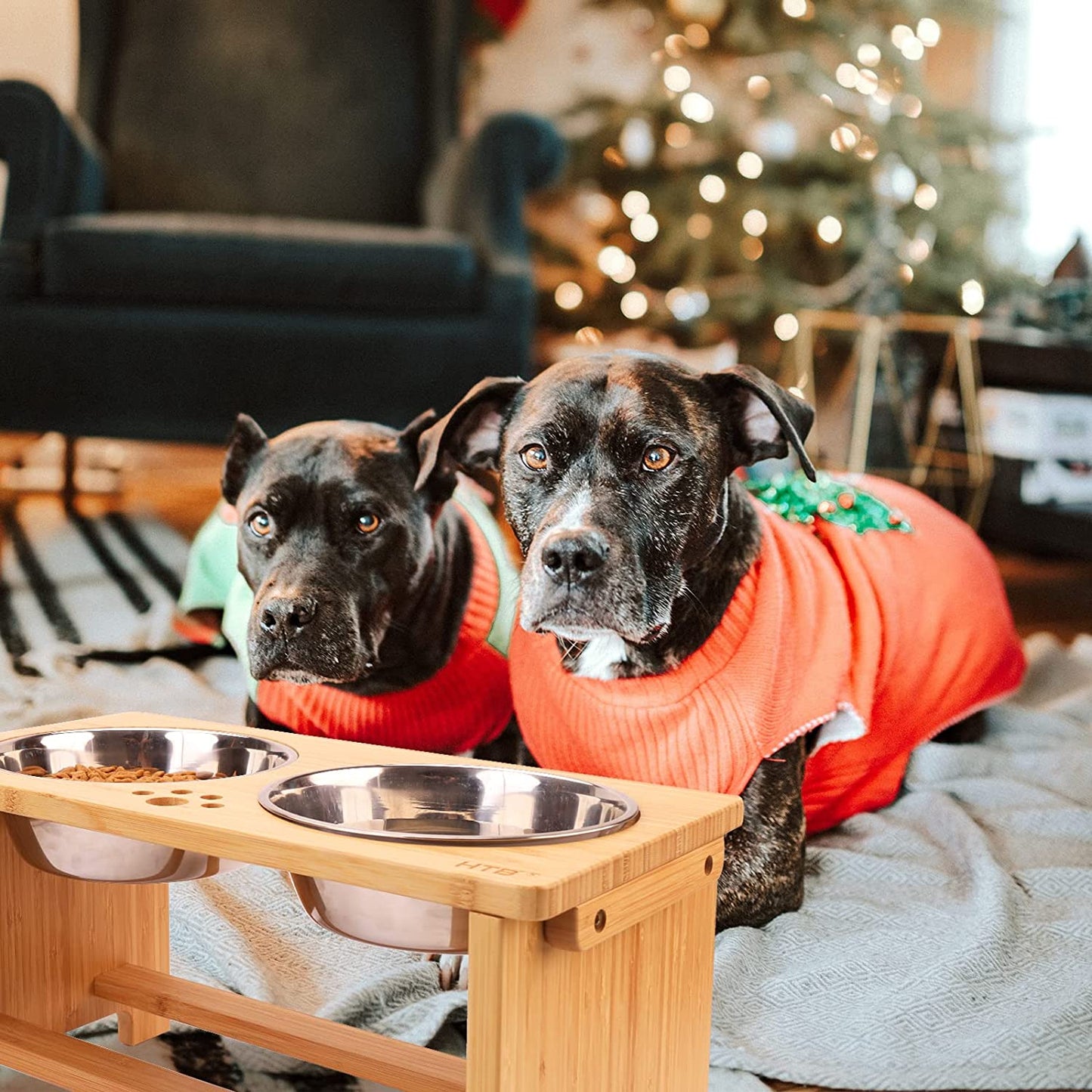 Elevate Your Dog's Dining Experience with Our Stylish Raised Dog Bowl Stand and Dual Stainless Steel Bowls!