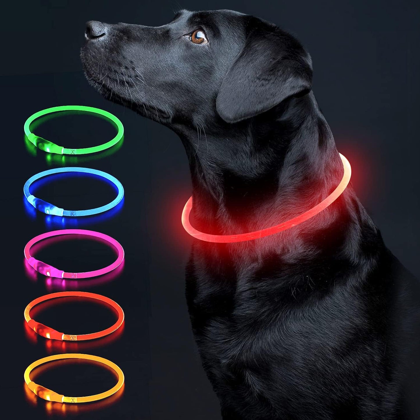 Illuminate Your Dog's Safety with the Ultimate LED Glow Collar - USB Rechargeable and Perfect for Every Size in Vibrant Cyan