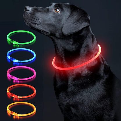 Illuminate Your Dog's Safety with the Ultimate LED Glow Collar - USB Rechargeable and Perfect for Every Size in Vibrant Cyan